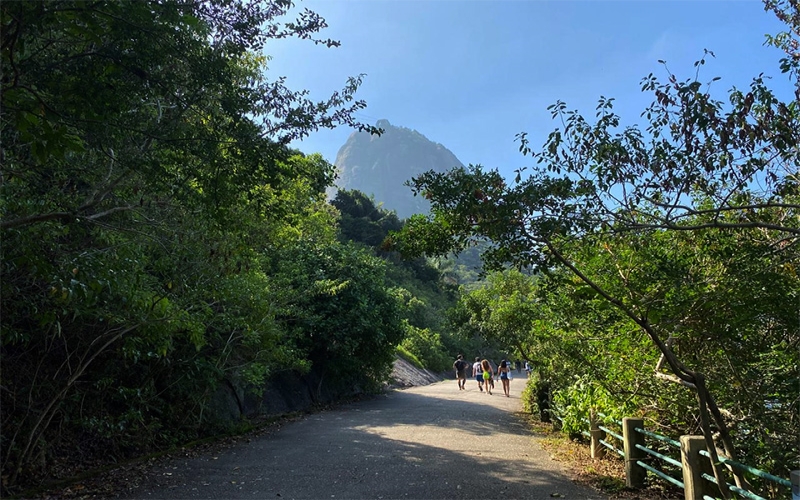 Pista Cláudio Coutinho: lindo visual do mar, da floresta e da montanha