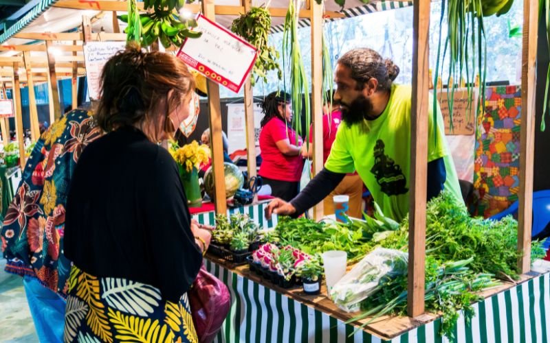 Plante Rio 10 anos: rodas de conversa, oficinas, feira agroecológica na Fundição Progresso