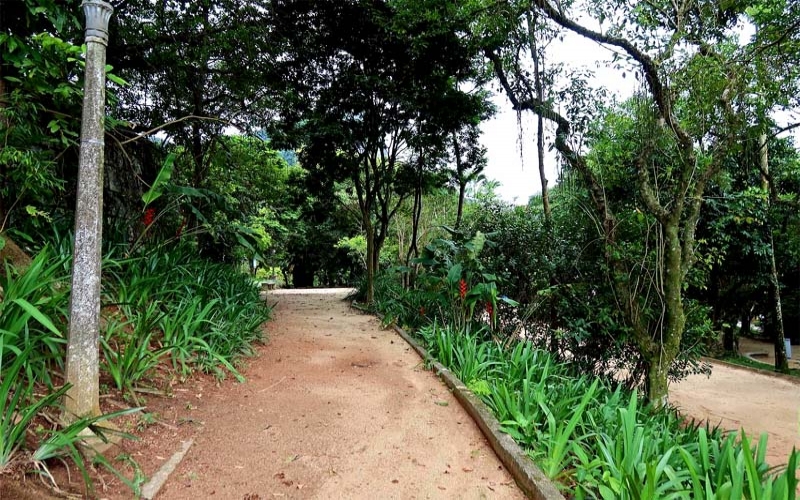 Praça dos Ingleses, um segredo escondido no bairro do Jardim Botânico