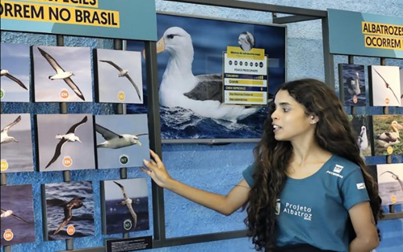 Centro de Visitação do Projeto Albatroz, em Cabo Frio, tem entrada grátis no feriado