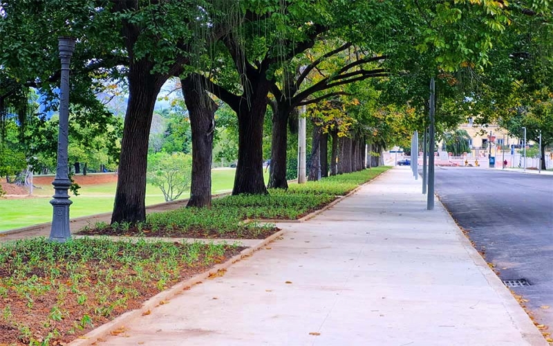 Revitalizada, Quinta da Boa Vista é uma das atrações mais encantadoras da Zona Norte do Rio