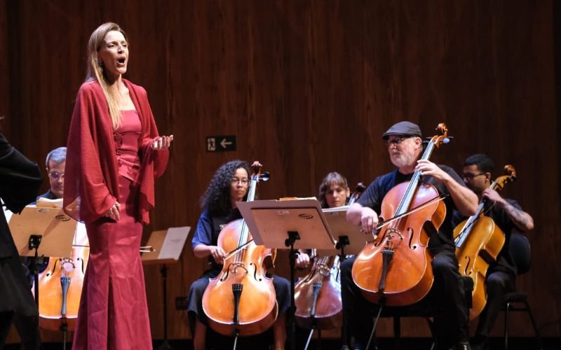 Festival Rio Cello leva concertos gratuitos a diferentes espaços do Rio