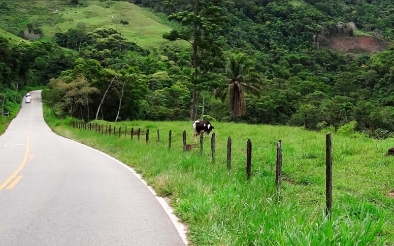 RJ-142, a estrada que encurta a distância entre a serra e o mar no meio da Mata Atlântica