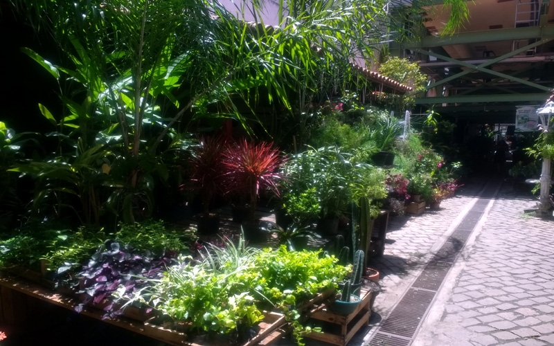 Rua das Flores da Carioca