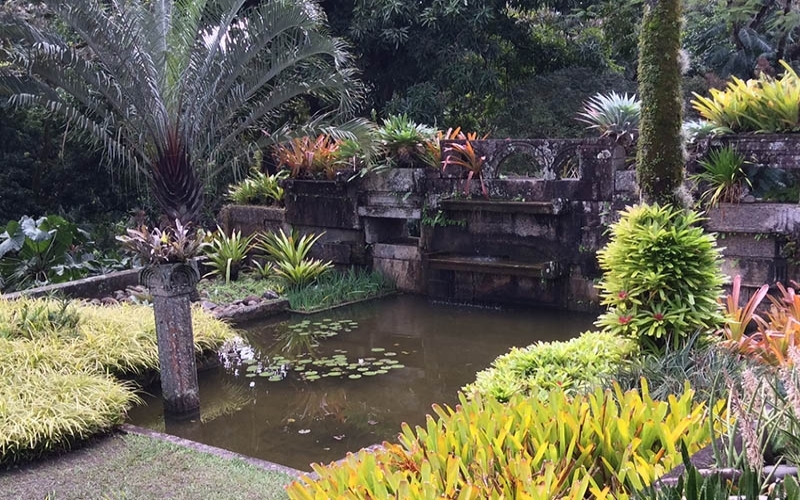 Pianista Carol Murta Ribeiro no Sítio Burle Marx