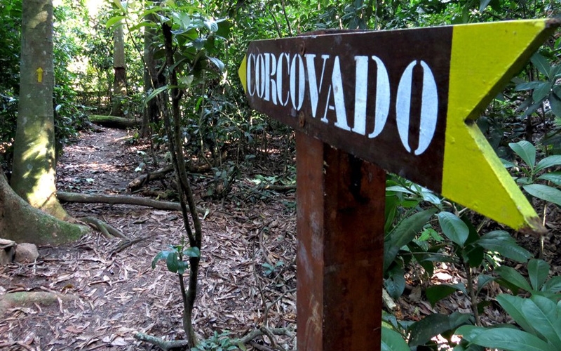 Trilha do Corcovado + Cachoeira dos Primatas