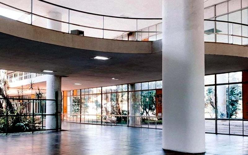 Medicamento desenvolvido pela UFRJ devolve mobilidade a pessoas tetraplégicas