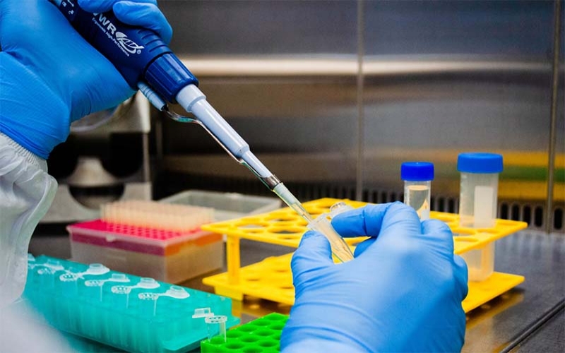 Vacina da UFRJ contra a Covid-19 está em fase final de desenvolvimento